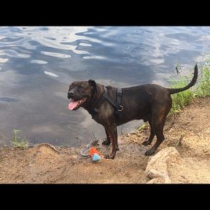 Meet your Posher, Lani